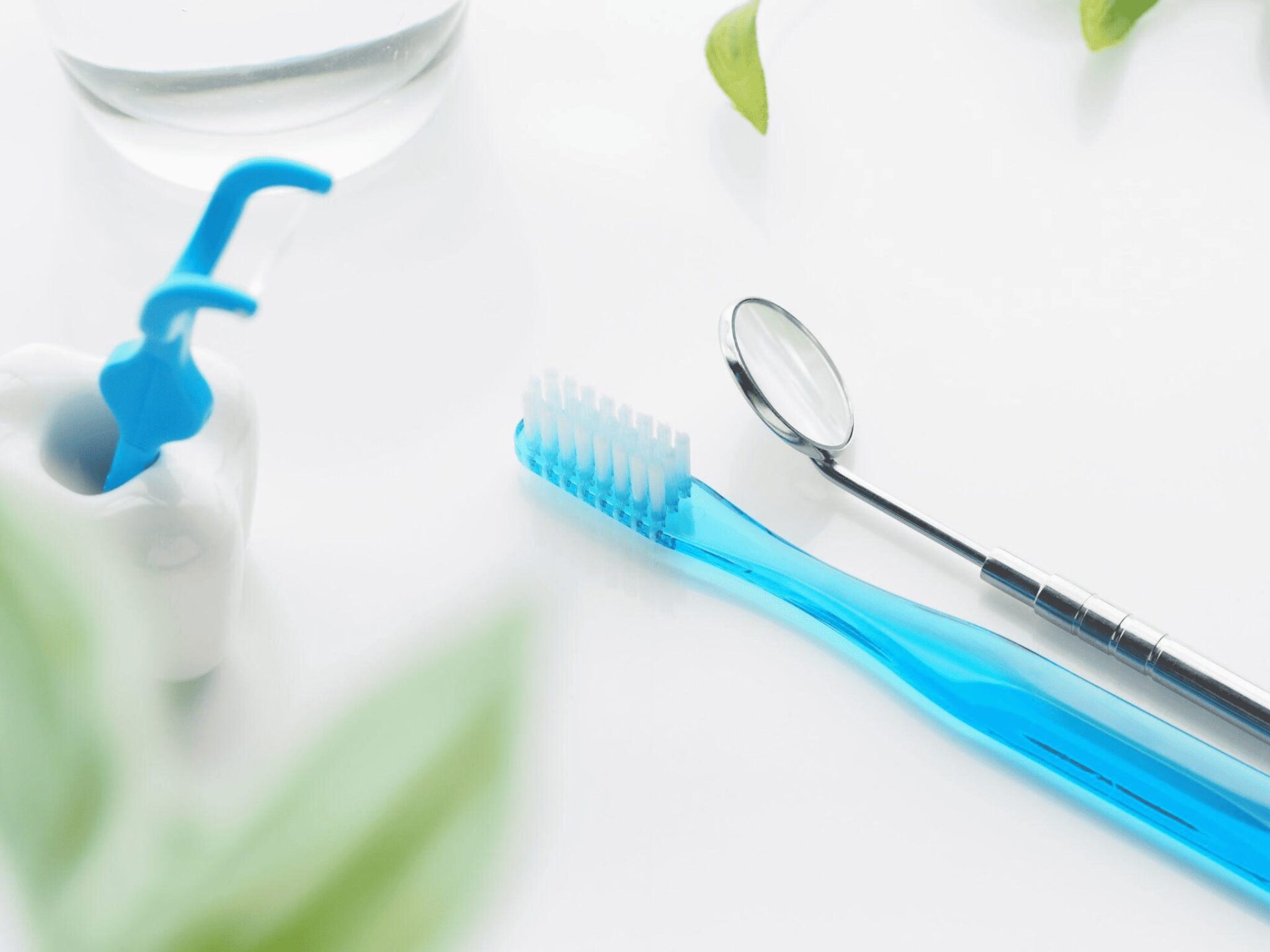 予防歯科で行うこと