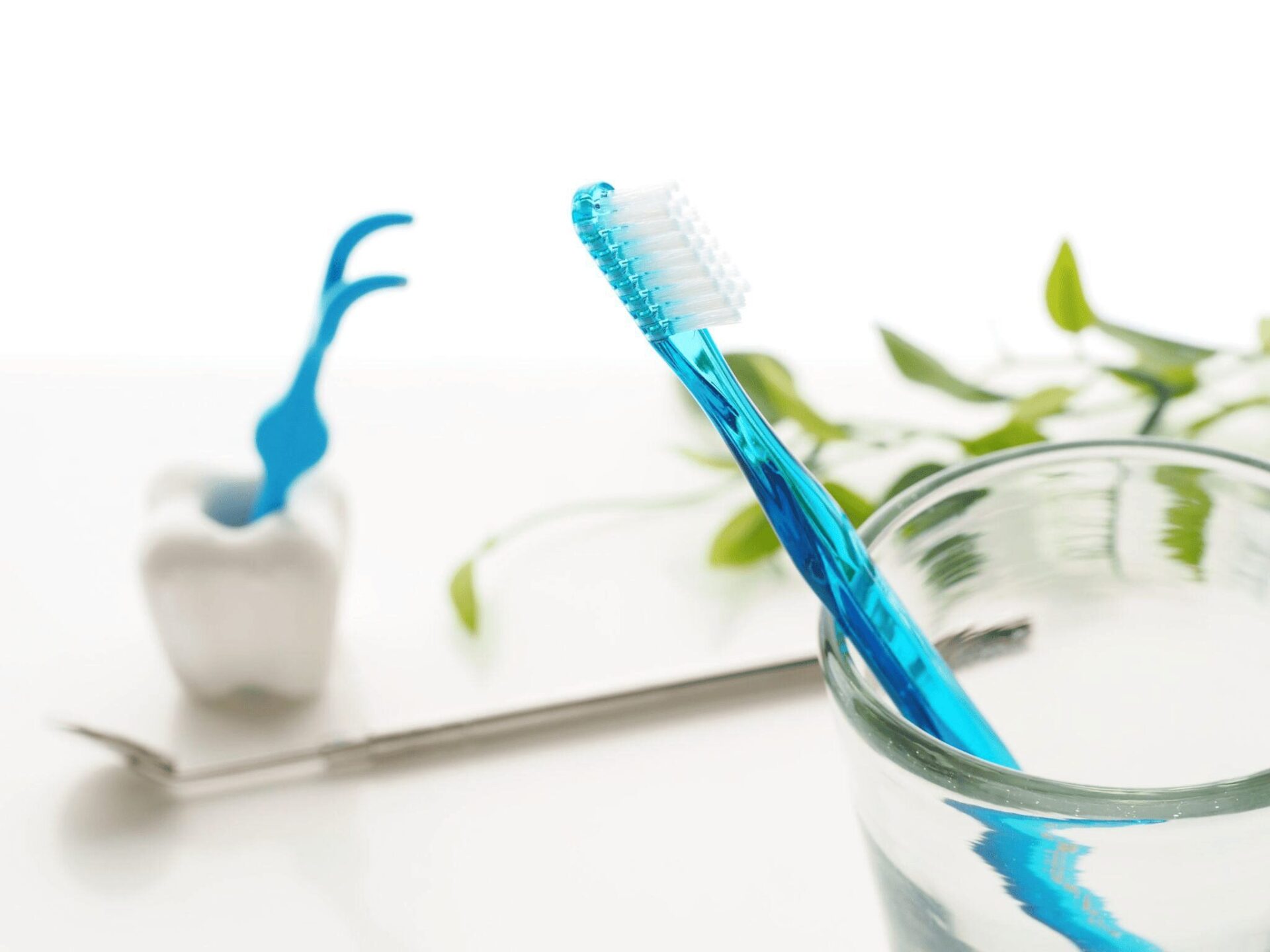 予防歯科の重要性とは？7つのメリットとセルフケア方法について解説